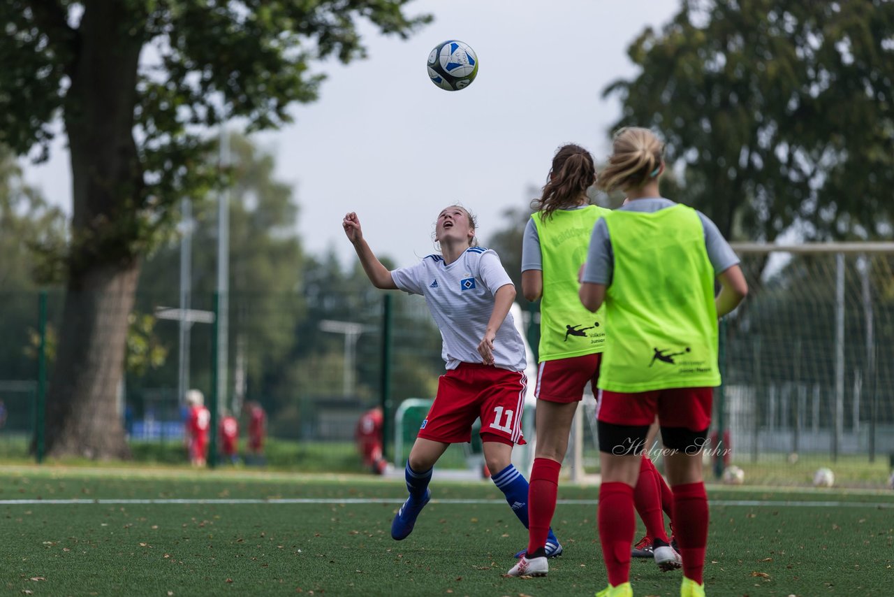 Bild 313 - C-Juniorinnen HSV - Walddoerfer : Ergebnis: 9:1